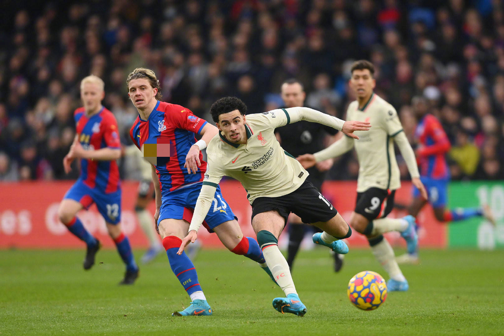 费者基础上 费者基础上