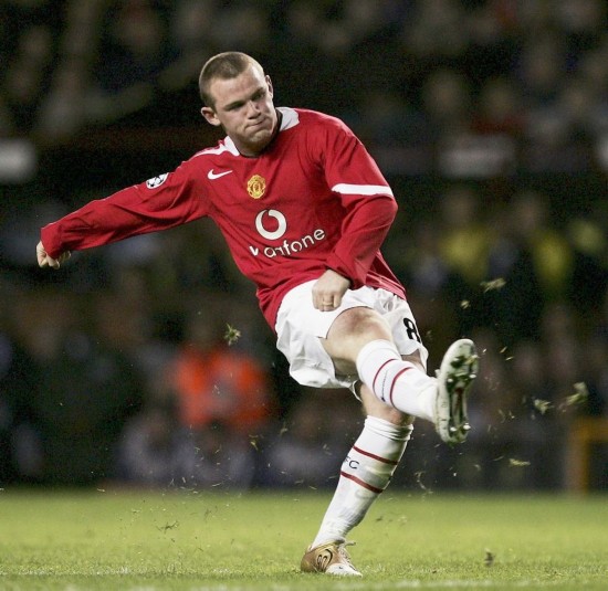 比如植树和 比如植树和