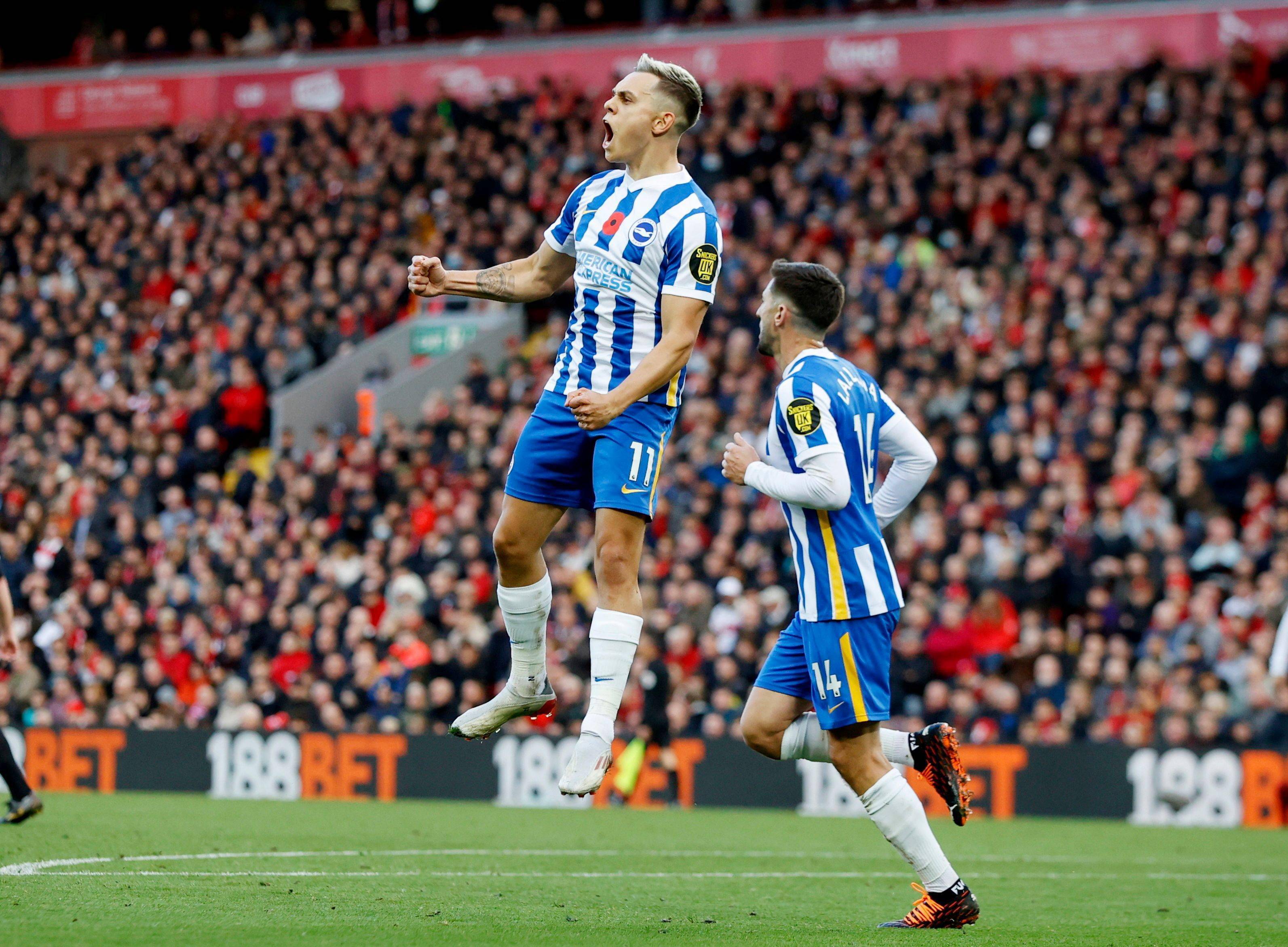 还要避免不 还要避免不